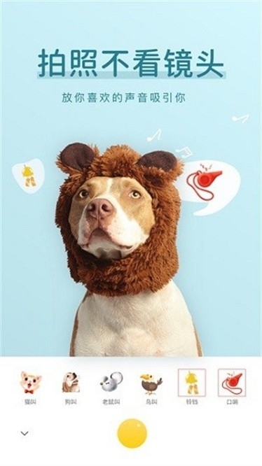 萌仔相机app官方版手机版
