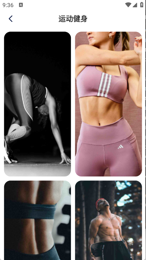 灵蝶壁纸下载安装最新版