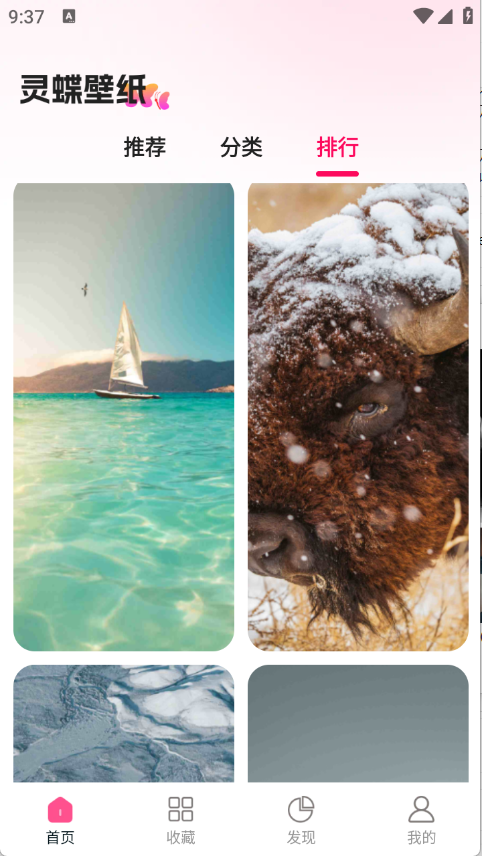 灵蝶壁纸下载安装最新版