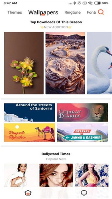 小米主题国际版app下载官方最新版