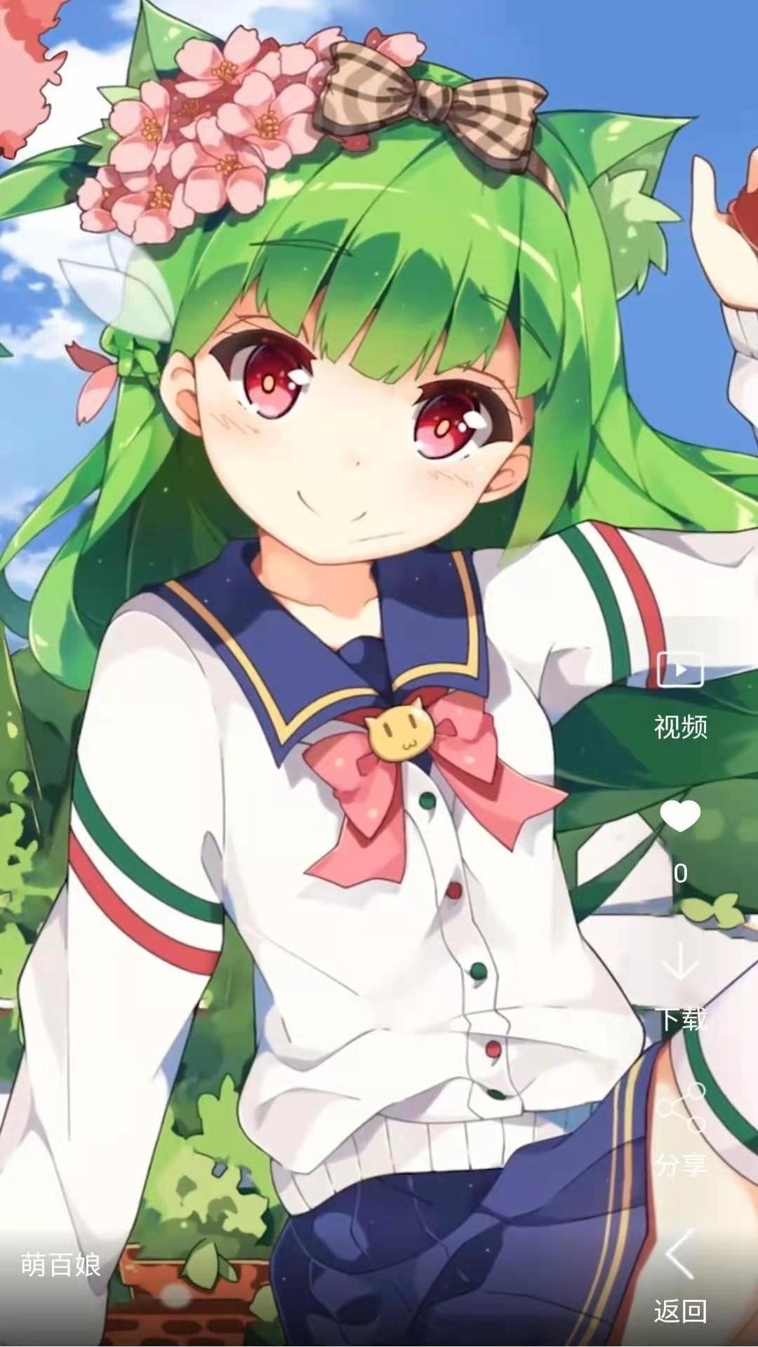 视频壁纸app下载安装免费