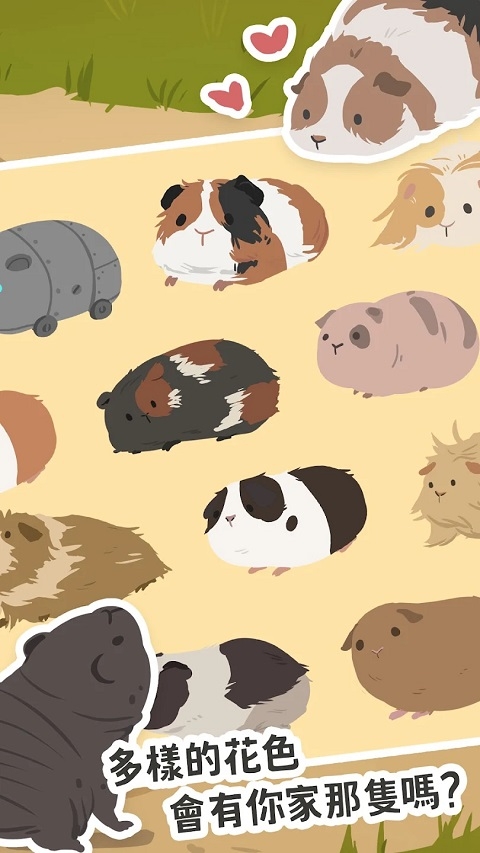 天竺鼠农场下载最新版