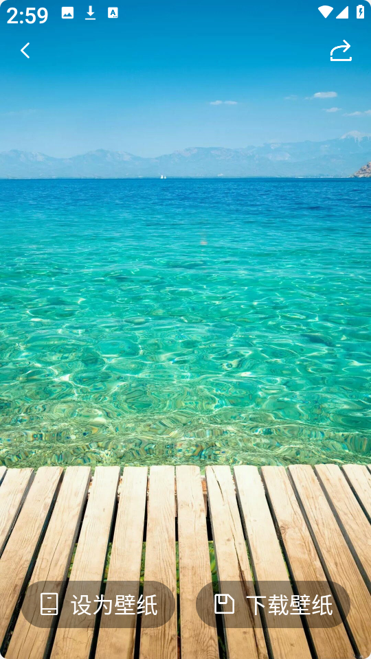 星狐壁纸app下载安装最新版