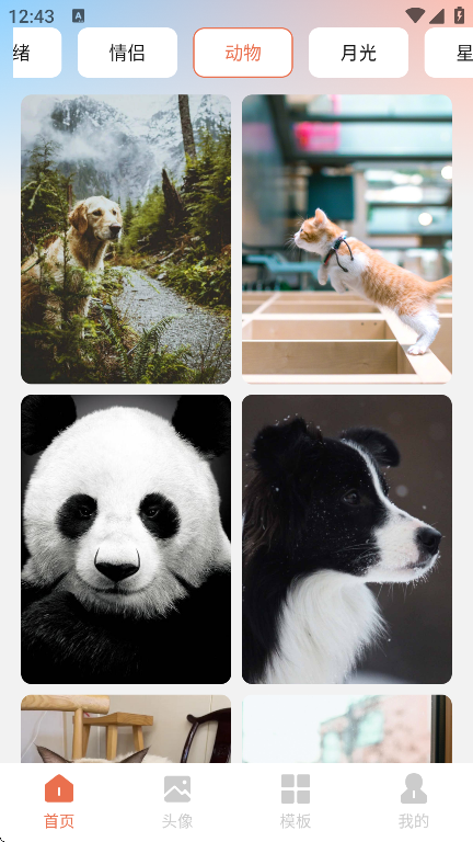 星狐壁纸app下载安装最新版