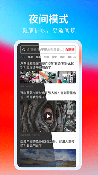 飞觅浏览器下载安装手机版