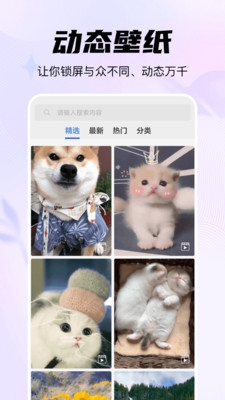 随心手机壁纸下载app