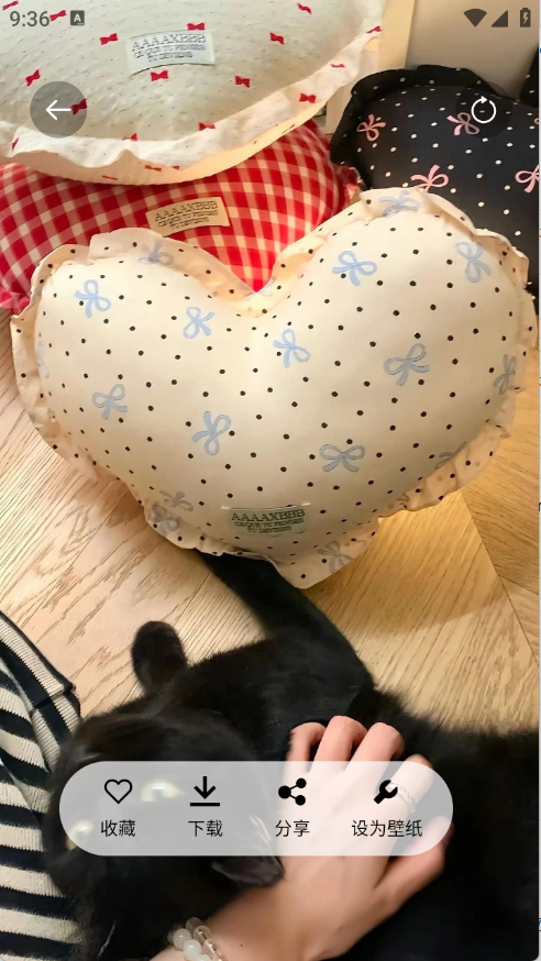 随心手机壁纸下载安装