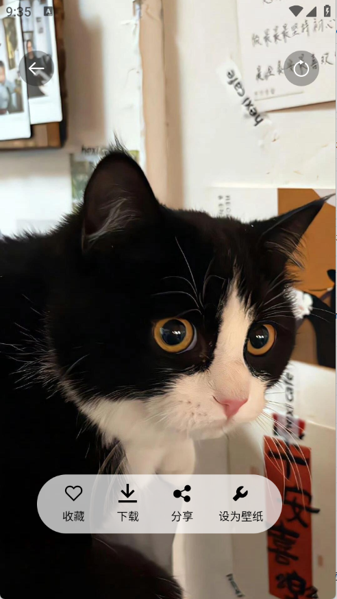 随心手机壁纸下载安装