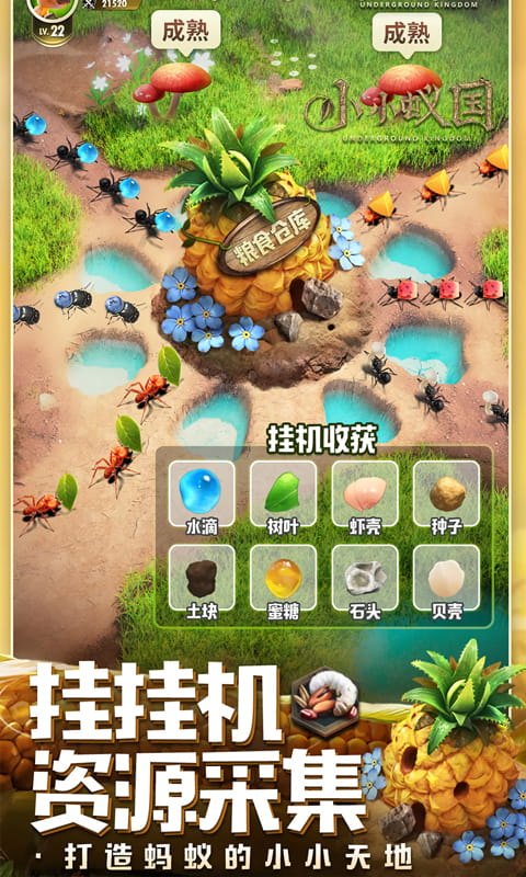 小小蚁国最新变态版