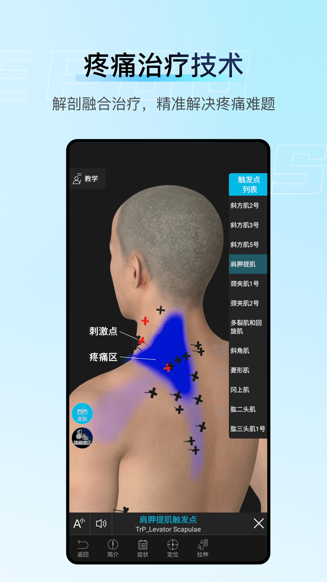 解剖大师app免费下载