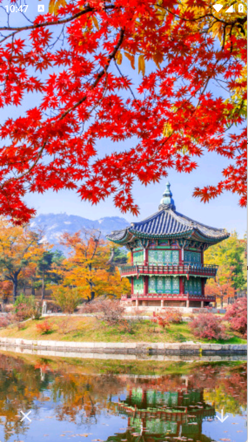 神图壁纸精灵软件下载安装手机版