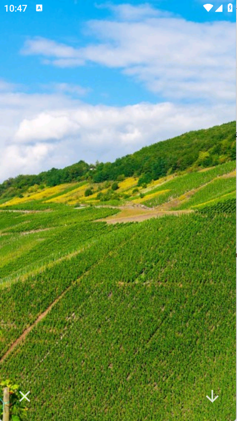 神图壁纸精灵软件下载安装手机版