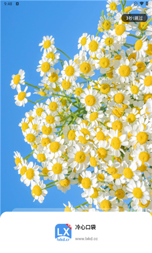 冷心口袋官网版正版下载