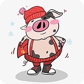 花小猪影视app下载2026最新版