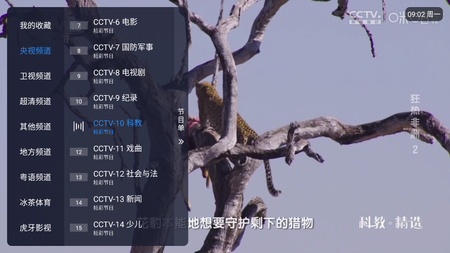 冰红茶TVapp最新版