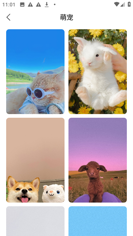 星汇壁纸app手机版下载