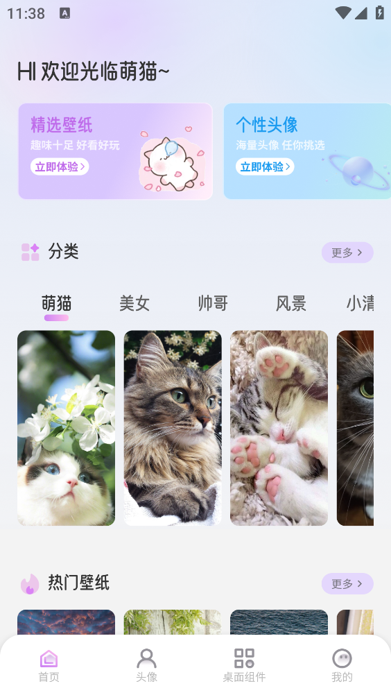 萌猫派对壁纸下载安装最新版
