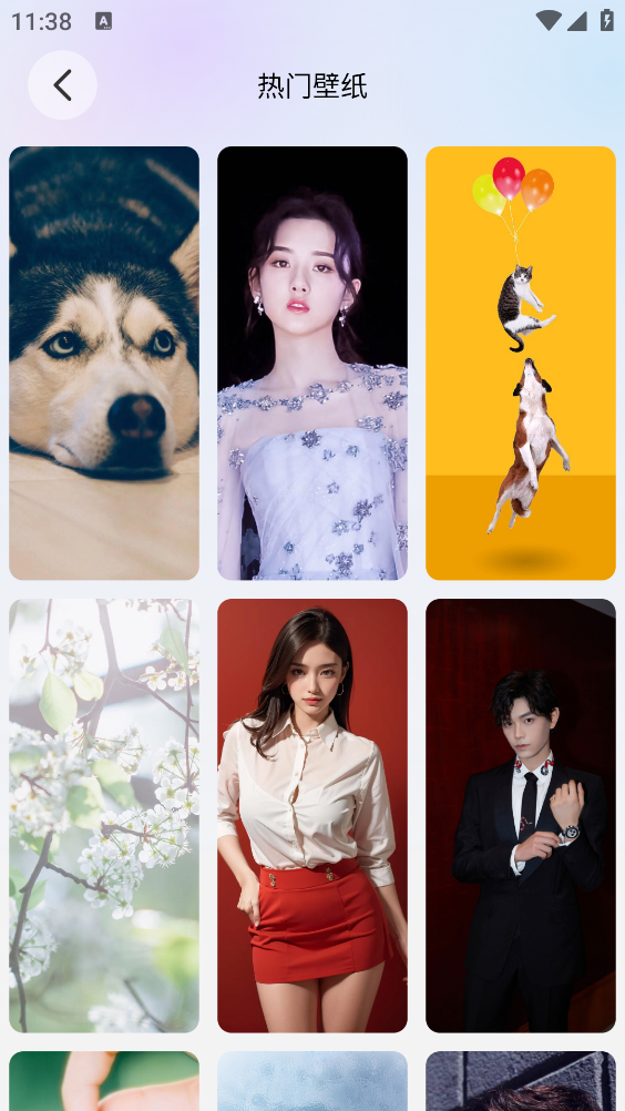 萌猫派对壁纸下载安装最新版