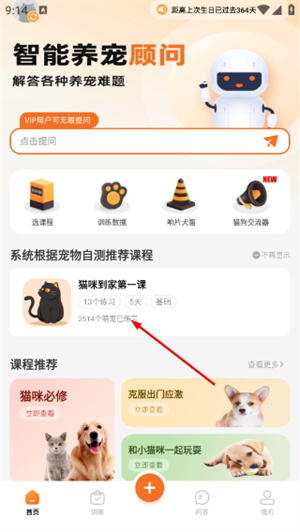 宠物记