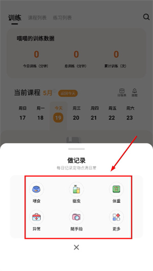 宠物记