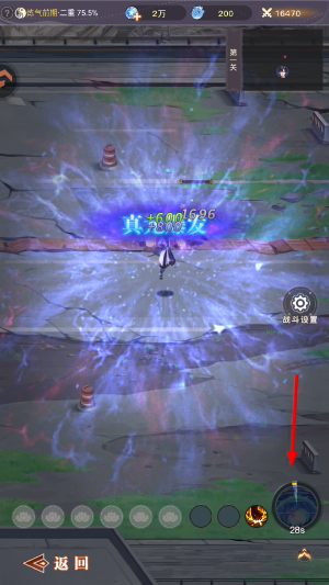 大武道