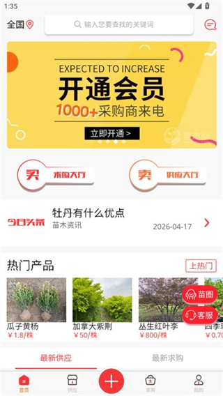 苗木网