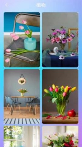 喵喵壁纸下载安装免费