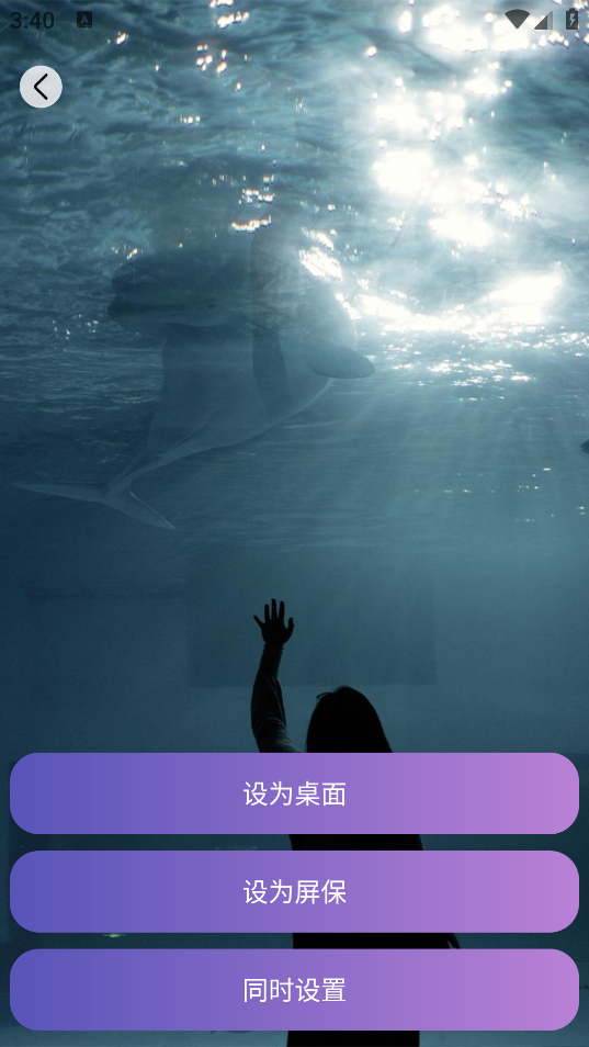 画与未来安卓版下载