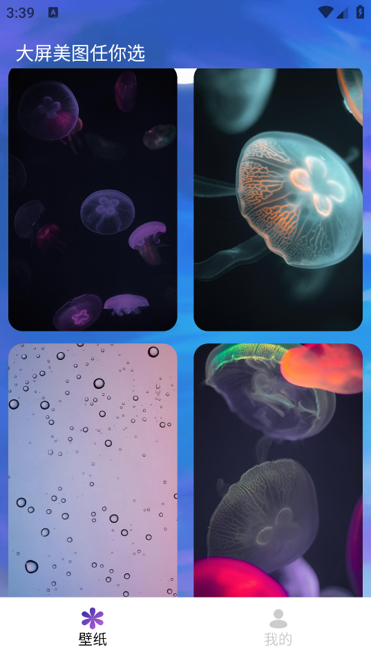 画与未来安卓版下载