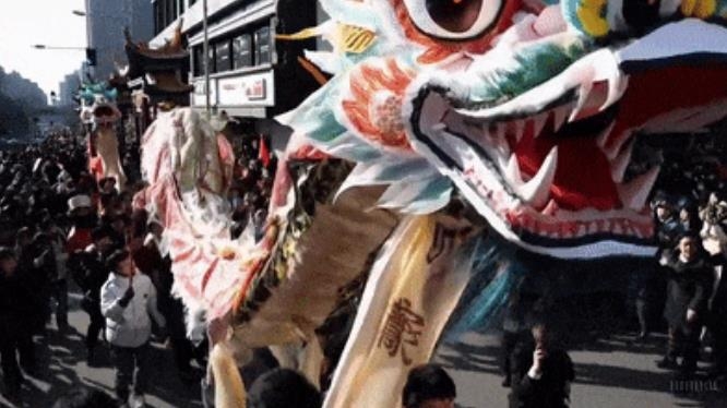 Sora软件官方下载手机