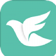 飞鸽文件传输app
