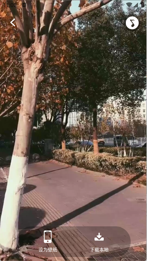 动态壁纸桌面下载安装软件免费版