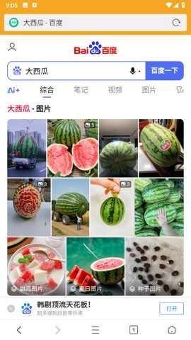 Fiery浏览器app最新版下载安装