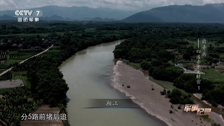 龙凤直播下载安装最新版