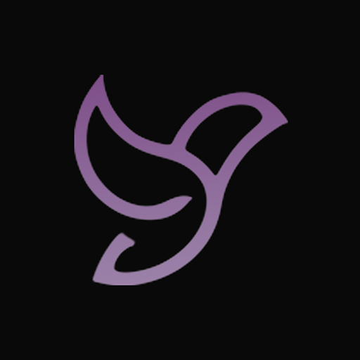 隐私浏览器下载安卓版