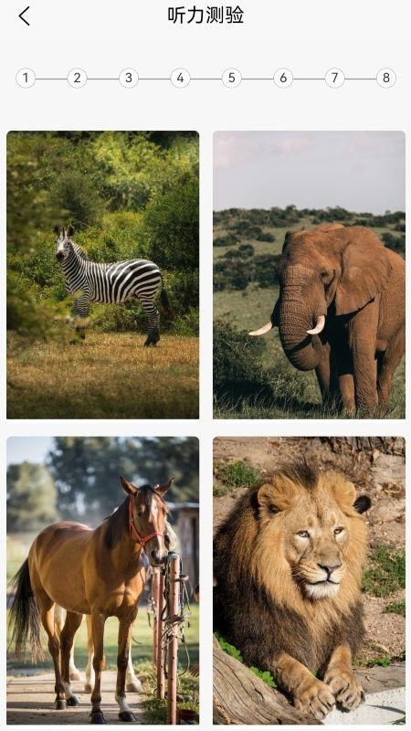 英语分级兔app下载