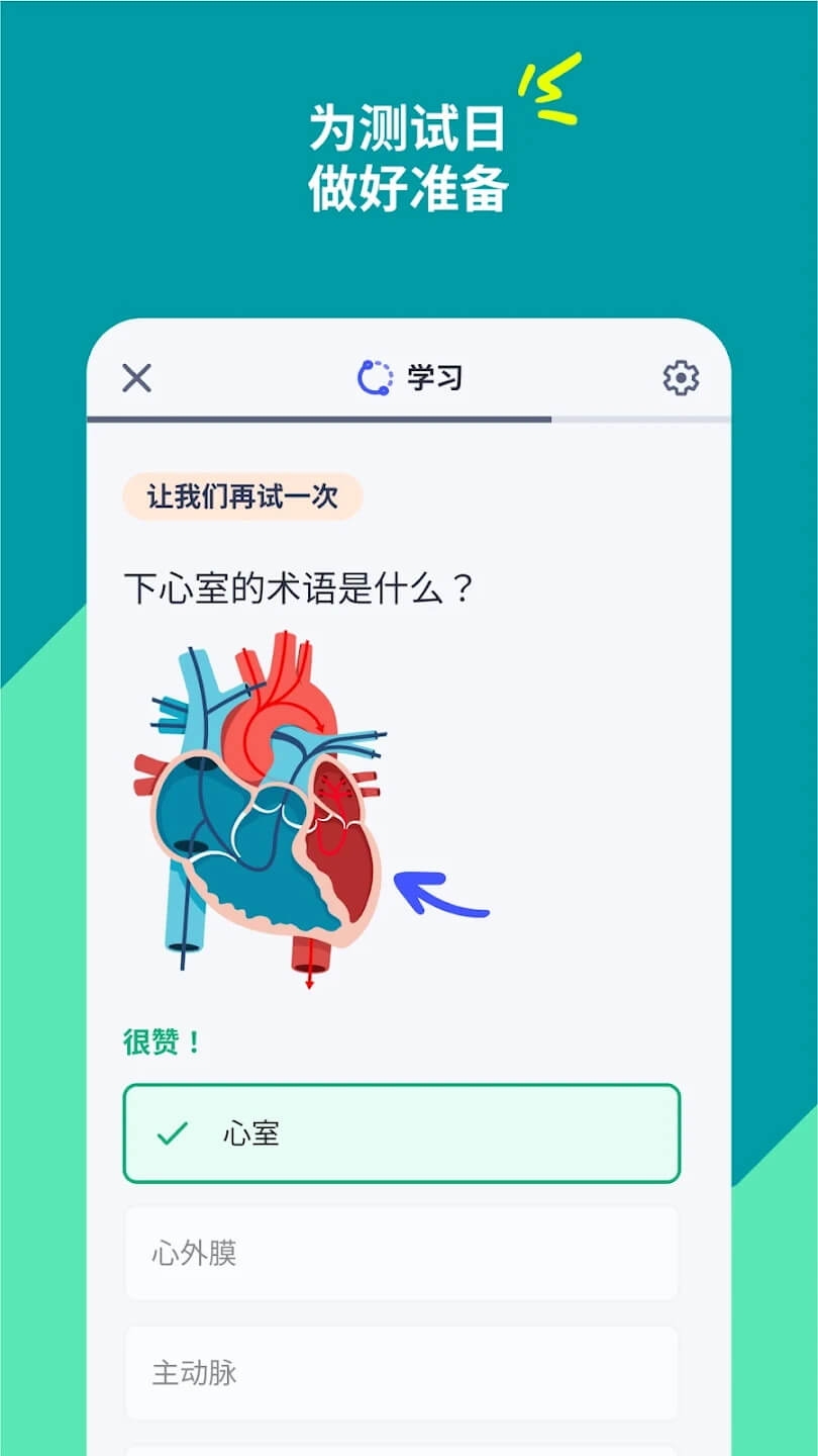 Quizlet官方免费下载