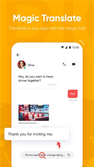 网易有道词典国际版