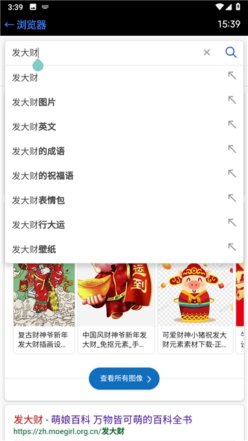 抬腕浏览器手机版