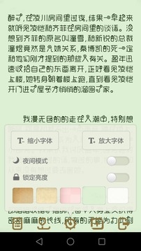 TXT小说阅读器软件