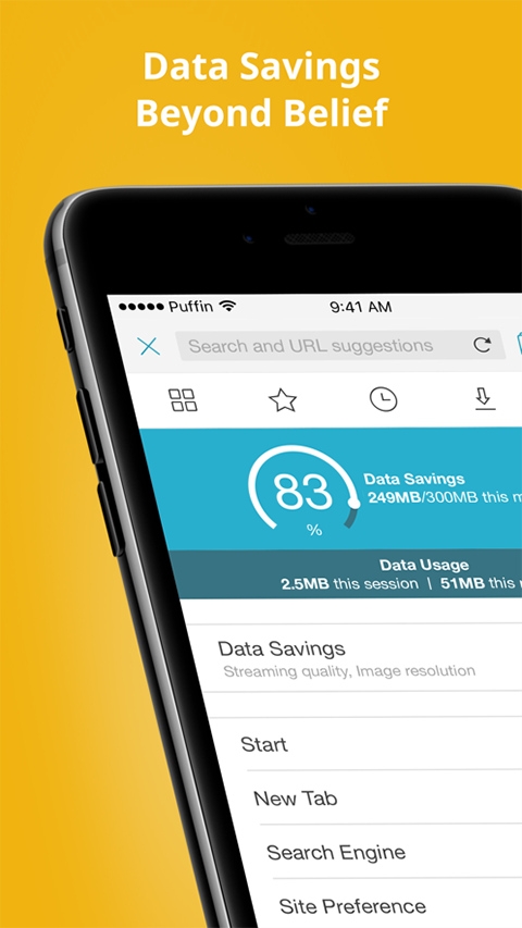 puffin浏览器官网版下载安装