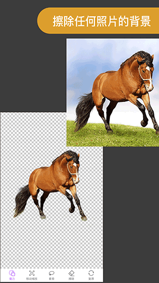 ProKnockout软件下载免费