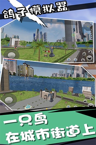 鸽子模拟器中文版
