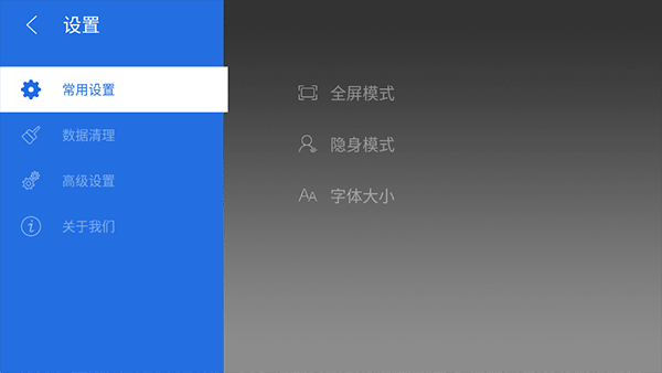 飞视浏览器TV版官网版