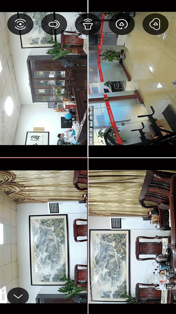 小强当家app下载安装官网最新版