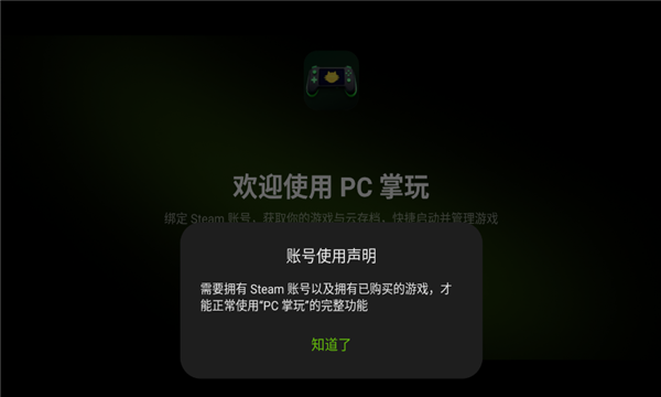 pc掌玩下载安装